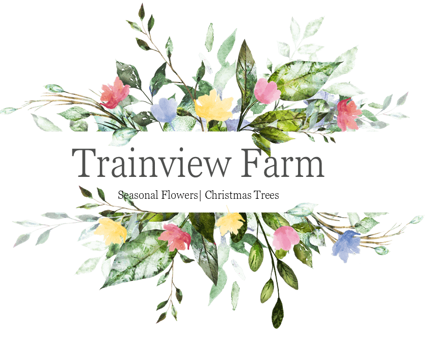 Trainview Farm
